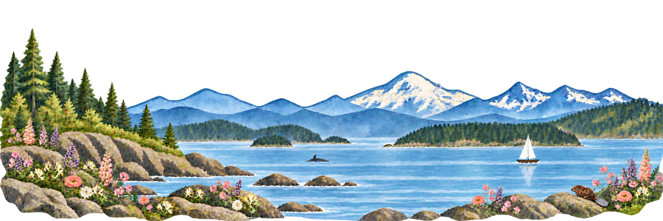 Watercolor Pacific Northwest shoreline with mountains, evergreens, a sailboat, lavender, honeysuckle, snapdragons, zinnias, poppies, and sweet peas, and a small beaver tucked among the rocks